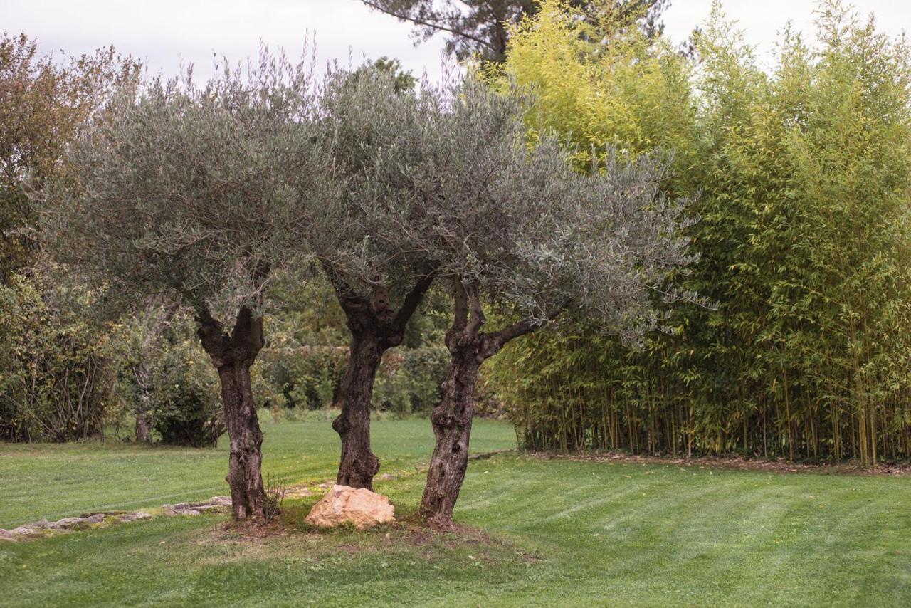 Jardines Pazo A Fabrica Konuk evi Celanova Dış mekan fotoğraf
